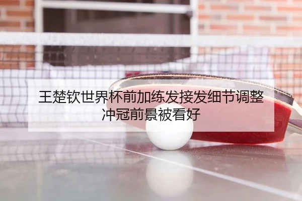 王楚钦世界杯前加练发接发细节调整 冲冠前景被看好