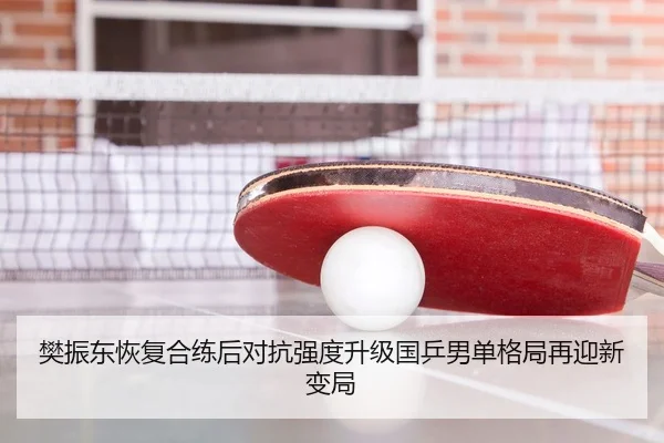 樊振东恢复合练后对抗强度升级国乒男单格局再迎新变局
